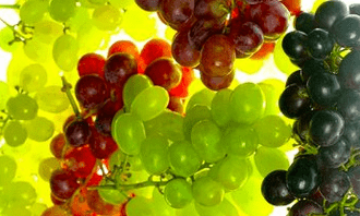 voedingscorrectie voor spataderen